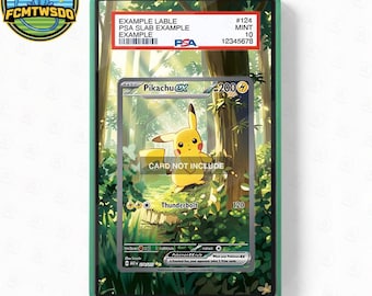 Pikachu ex 276-217 Extended Art Graded Magnetic Display Case