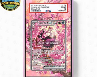 Fezandipiti ex 288-217 Extended Art Graded Magnetic Display Case