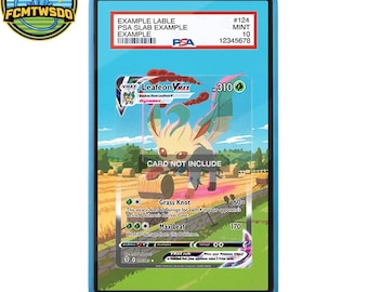 Leafeon VMAX 205/203 Pokémon Extended Art Graded Magnetic Display Case