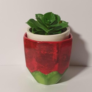 May include: A small succulent plant in a two-tone ceramic pot. The outer pot is red with a green base, and the inner pot is white. The plant has vibrant green leaves.