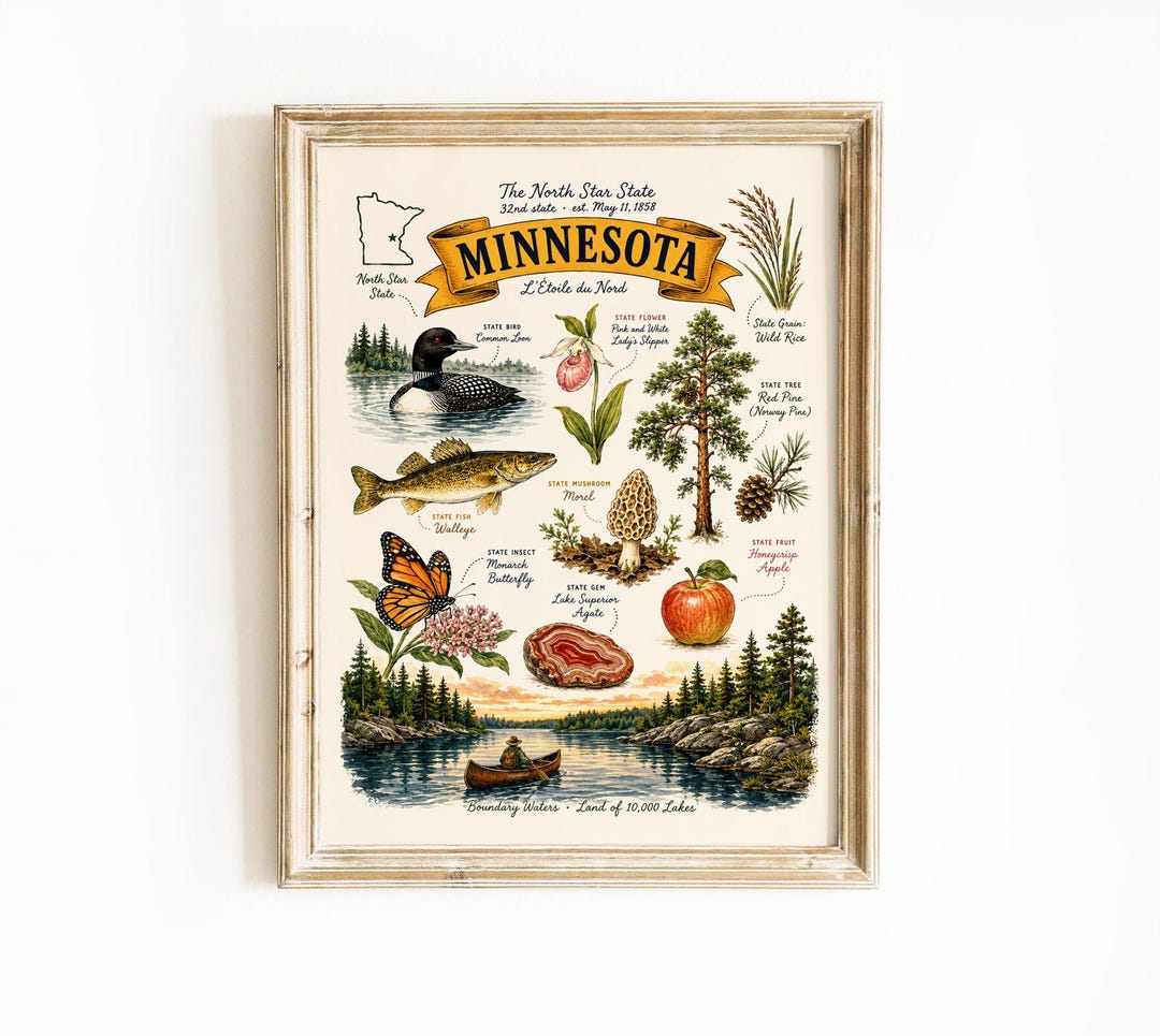 Minnesota State Symbols Poster, Vintage Educational Wall Art, Wildlife ...