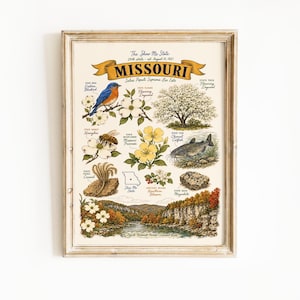Può includere: Una stampa incorniciata con un'illustrazione in stile vintage del Missouri. L'opera d'arte include un uccello azzurro, fiori, un'ape, un pesce gatto e un paesaggio. Il testo "MISSOURI" è visualizzato con la frase "The Show Me State".