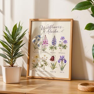 Puede incluir: Una lámina botánica enmarcada titulada Wildflowers of Alaska que presenta ocho ilustraciones detalladas en acuarela de varias flores, incluyendo pétalos azules, rosas, morados y amarillos con sus nombres impresos en negro bajo cada planta.