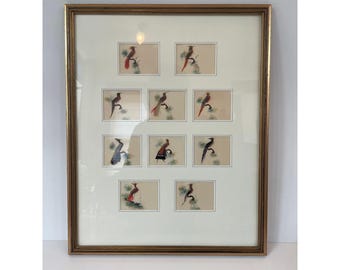Vintage Mexican Feather Art 10 Bird Studies Custom Framed Gold Tone
