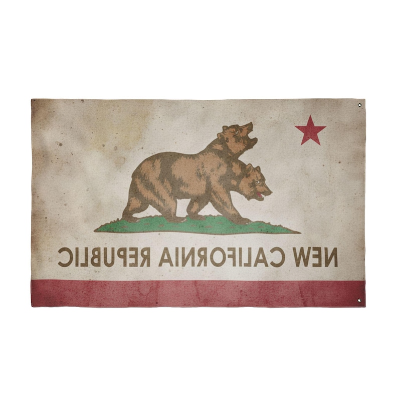 The Standard of the Republic: NCR "Bleed-Through" Outpost Flag image 8