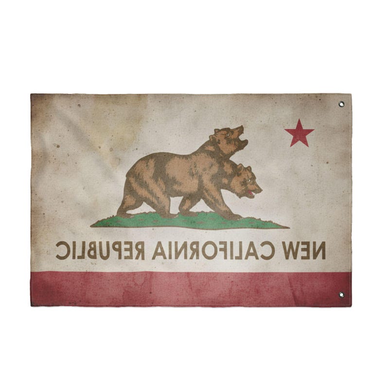 The Standard of the Republic: NCR "Bleed-Through" Outpost Flag image 6