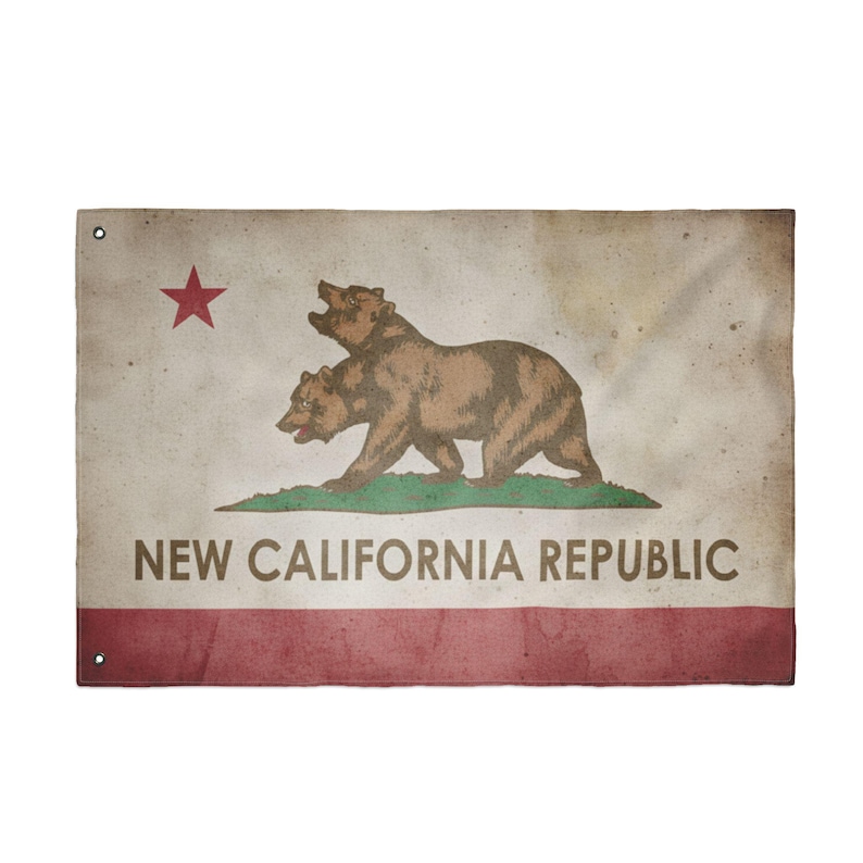 The Standard of the Republic: NCR "Bleed-Through" Outpost Flag image 5