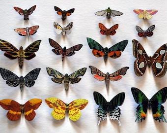 Moth Magnets Set of 6 Multi Color Insects Refrigerator Magnets Kitchen Decor