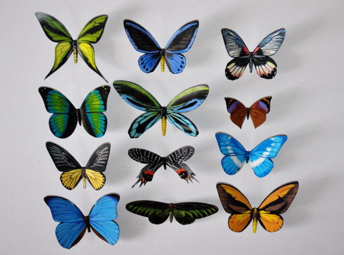 Butterfly Refrigerator Insects Set of 12 Etsy