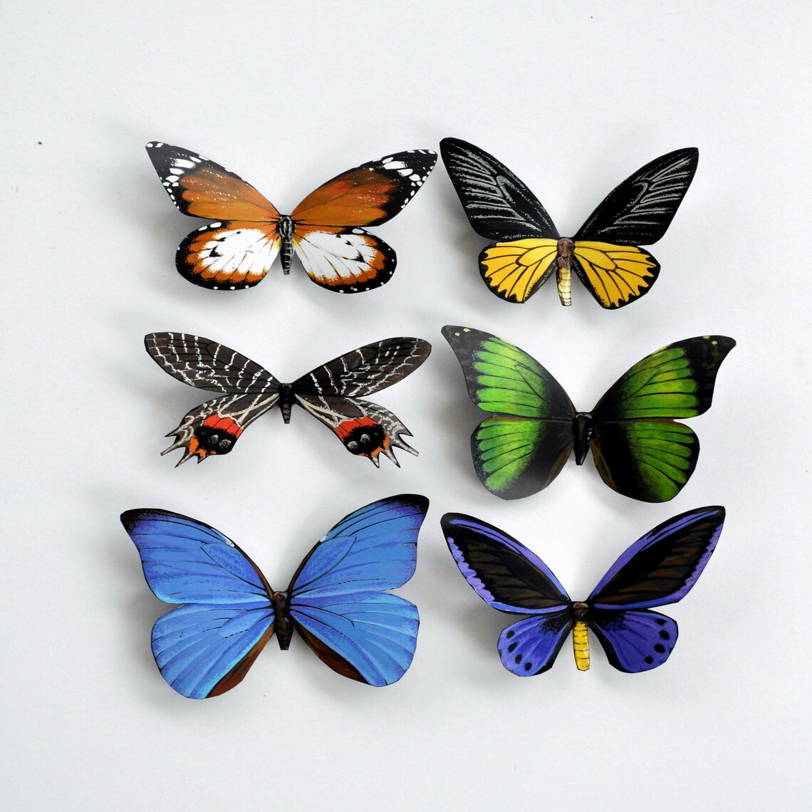 Butterfly Insects Set of 6 Refrigerator Etsy