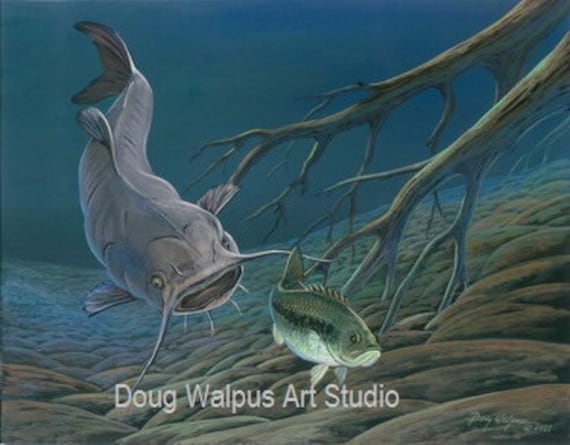 Bluegill Fish Print 11 x 14 by Doug Walpus Freshwater Fishing Acrylic Wall Decor