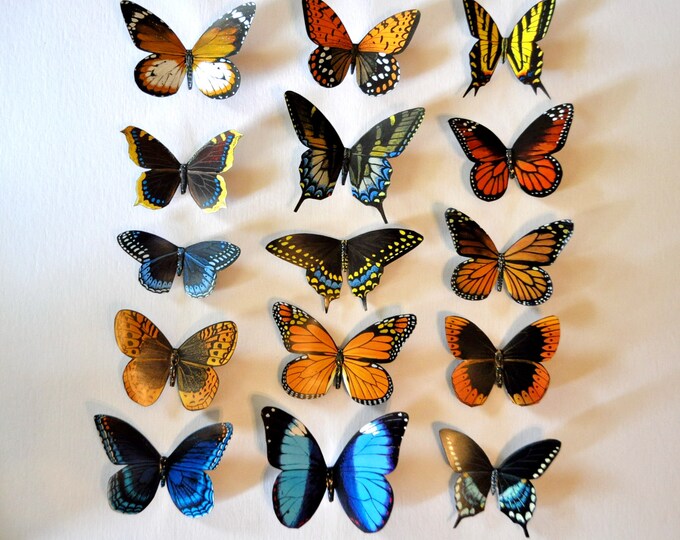 Butterfly Set of 15 Insects Kitchen Etsy