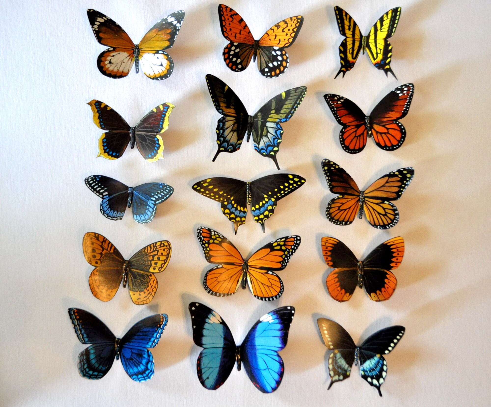 Butterfly Set of 15 Insects Kitchen Etsy