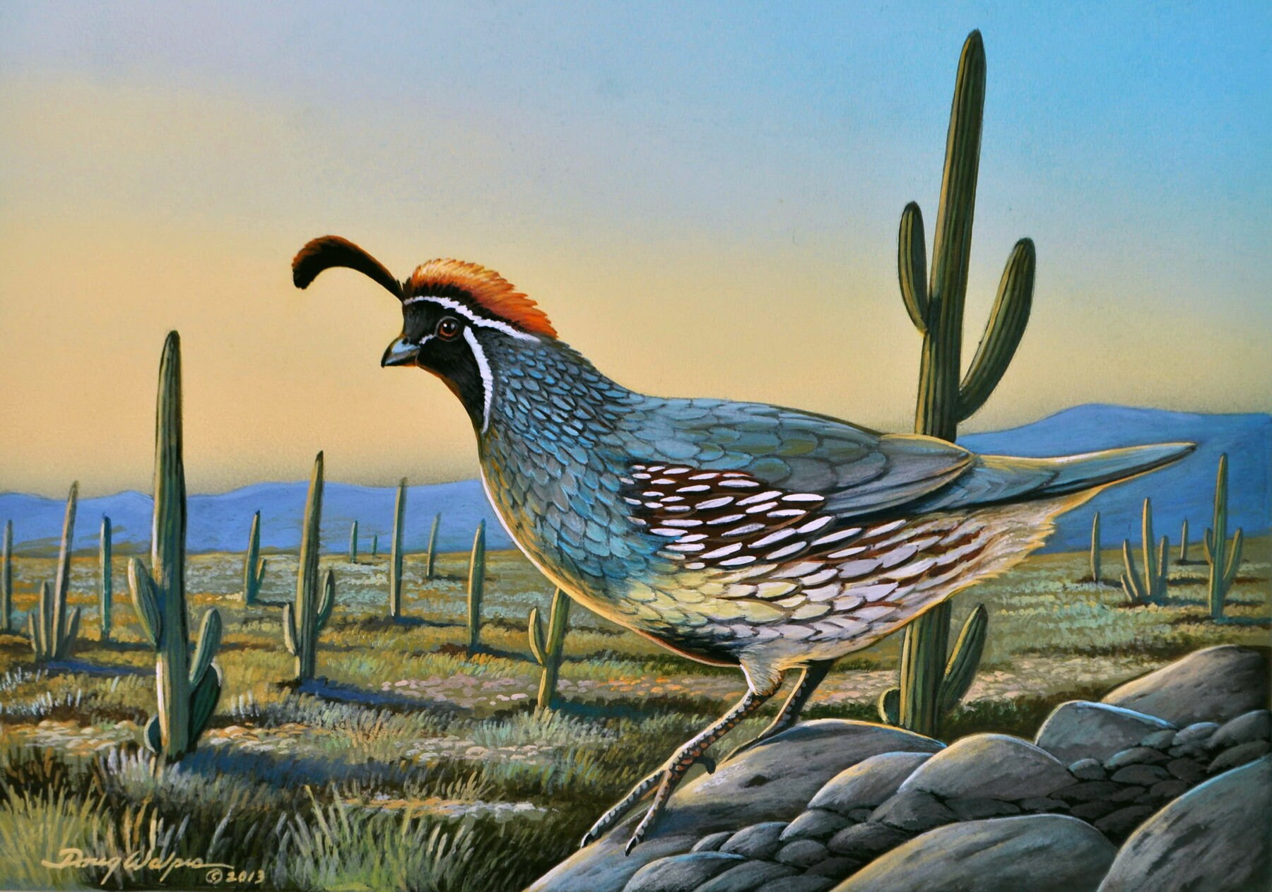 Quail Print Bird Print Quail Wall Art Quail Decor Fine Art | Etsy