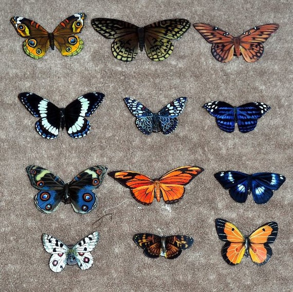 Butterfly Insects Set of 12 Handmade Etsy