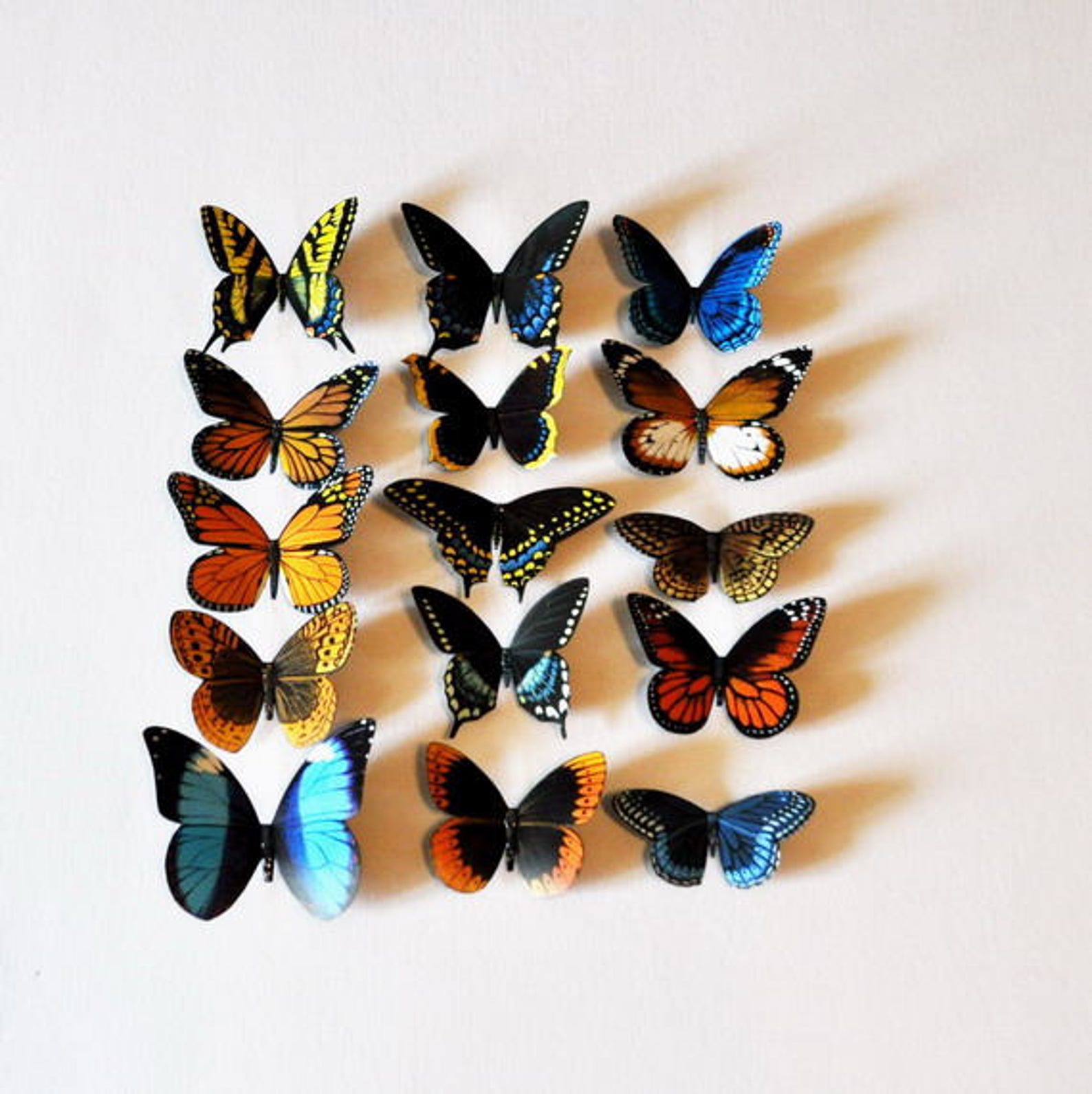 Butterfly Set of 15 Insects Kitchen Etsy