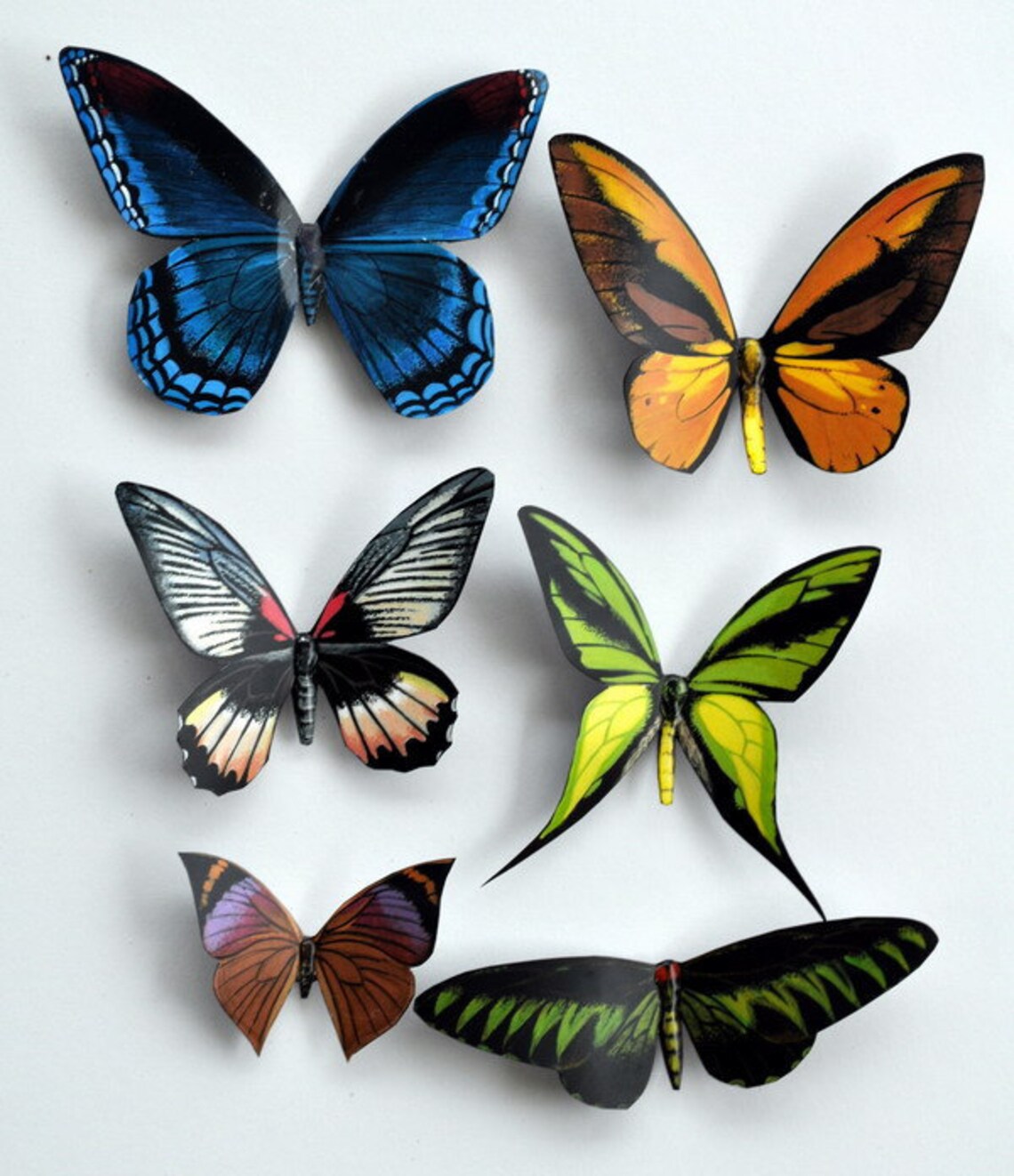 Butterfly Insects Set of 6 Refrigerator Etsy