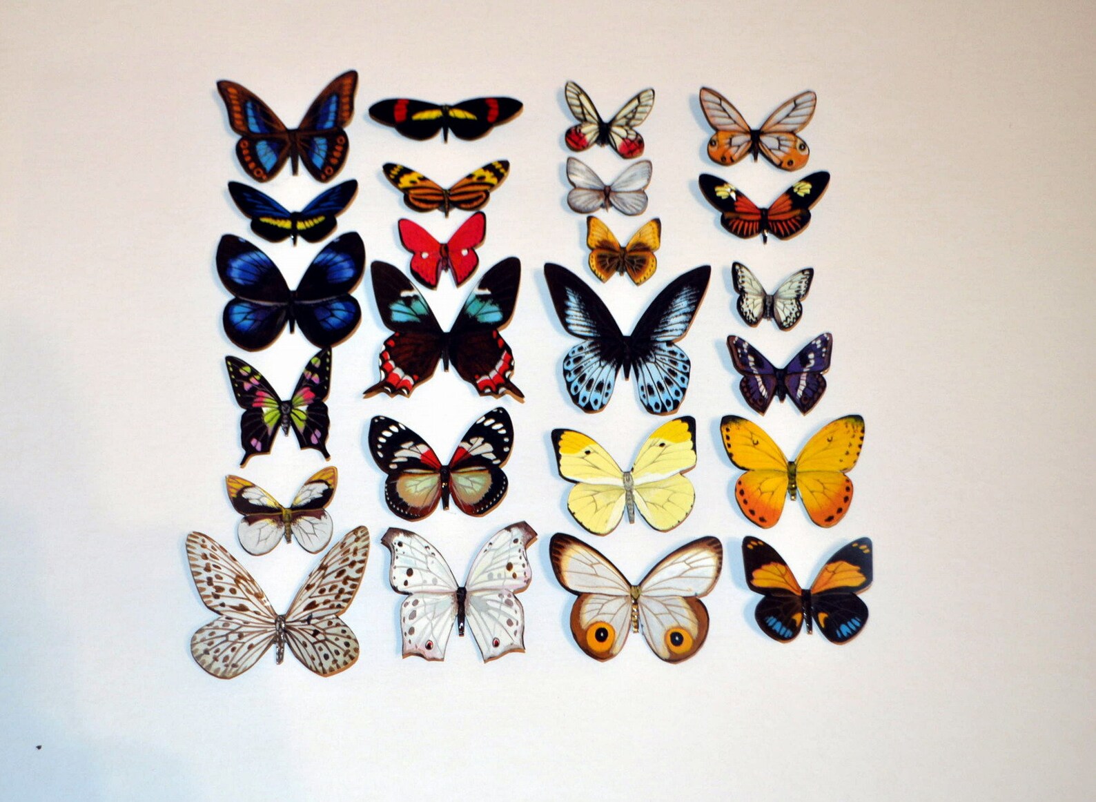 Butterfly Set of 24. Insects Refrigerator Etsy