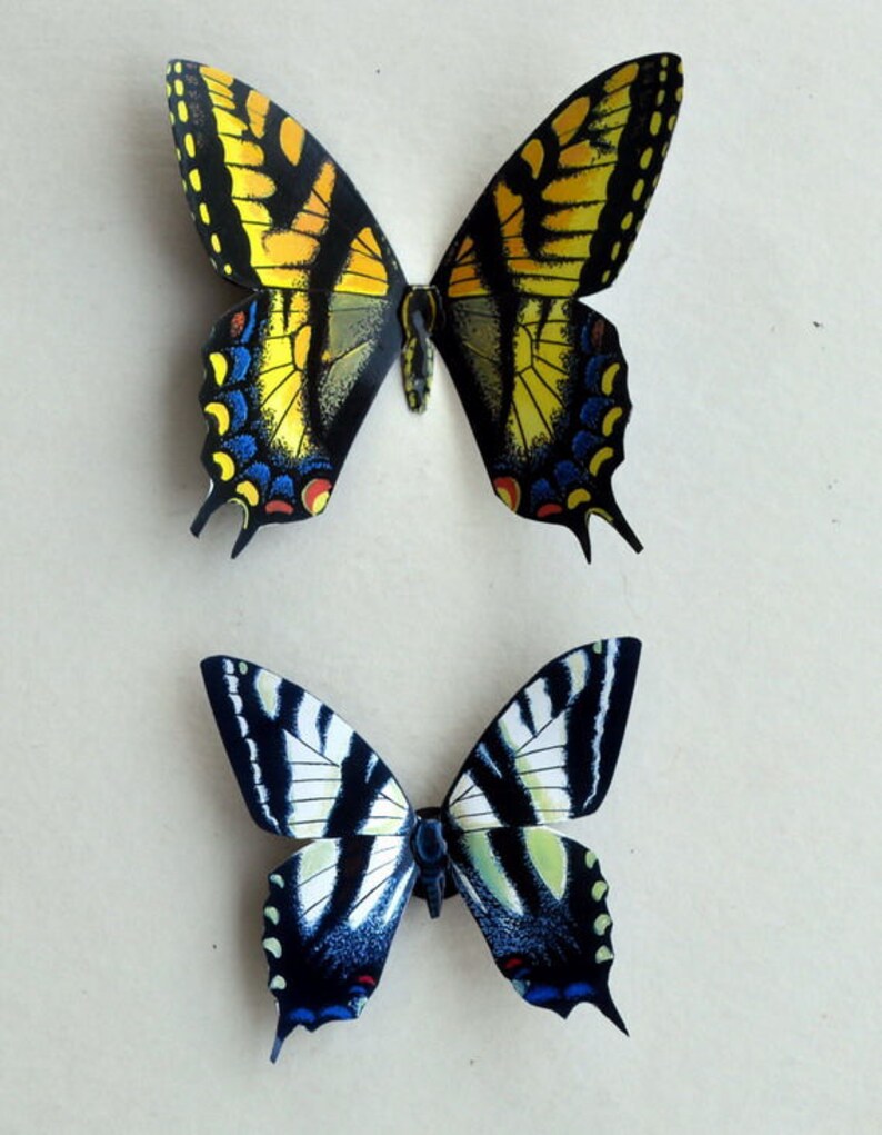 Butterfly Insects Refrigerator Handmade Etsy