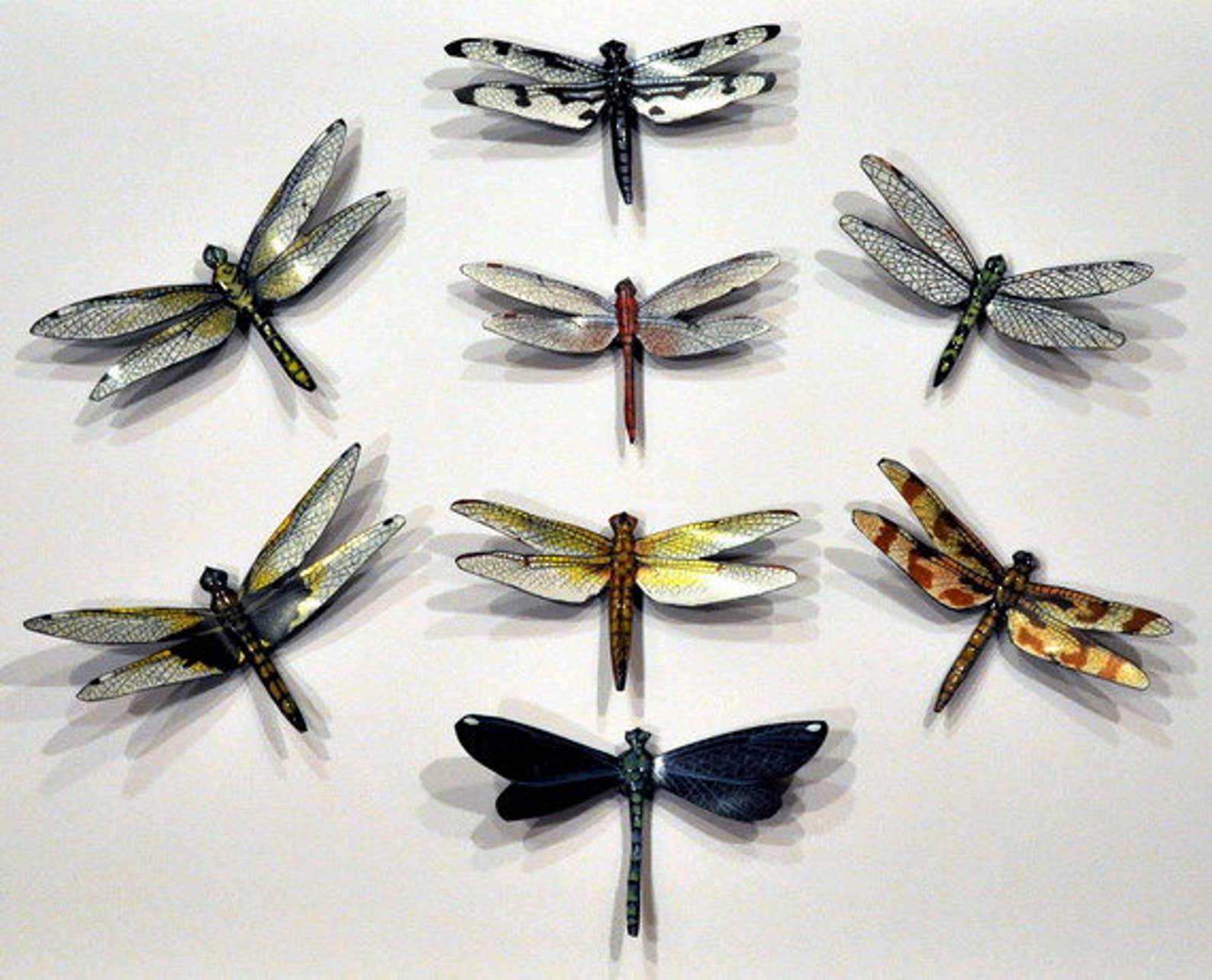 Dragonfly Insects Set of 8 Refrigerator Etsy