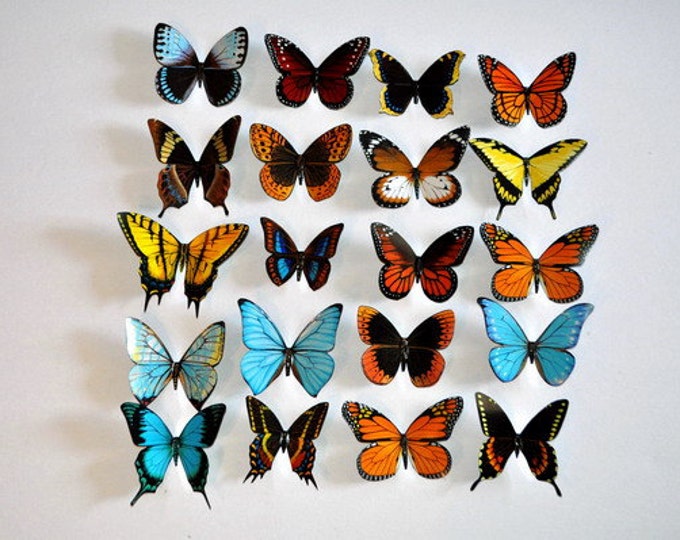 Butterfly Insect Refrigerator Set Etsy