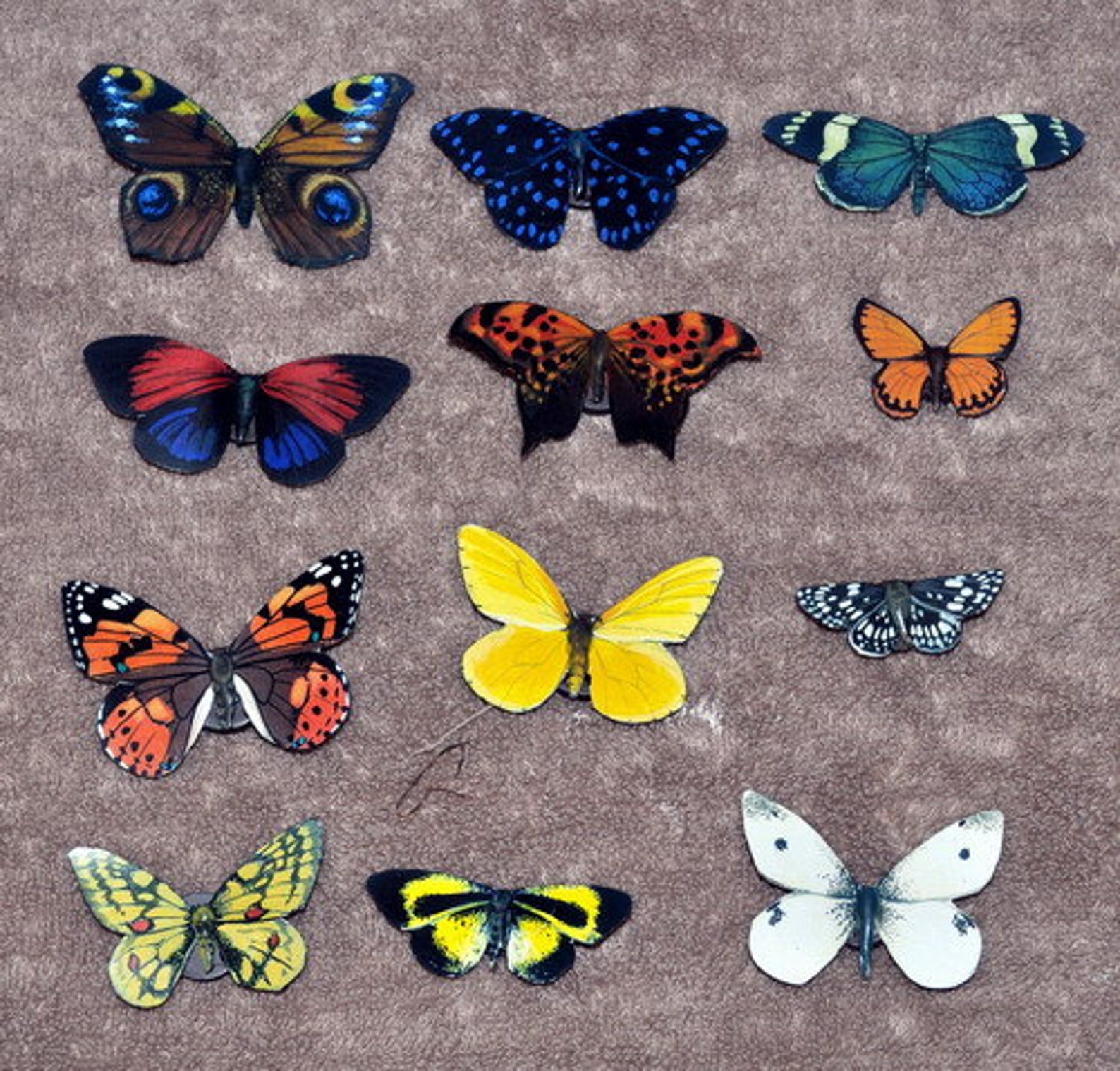 Butterfly Refrigerator Set of 12 Insects Etsy