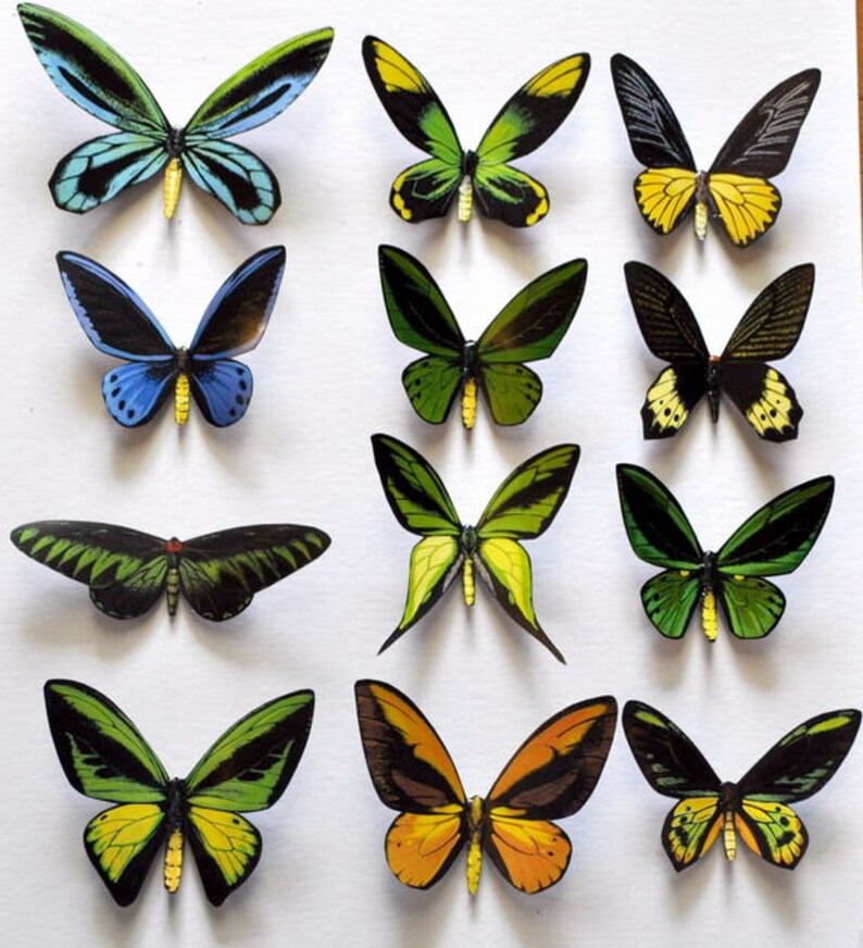 Multi Color Kitchen Decor image 0