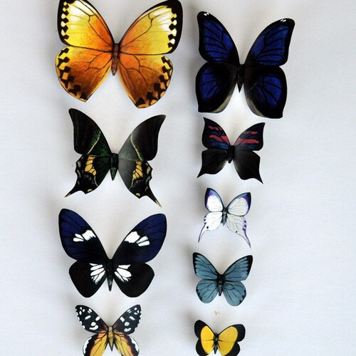 Butterfly Refrigerator Insects Set of 12 Etsy