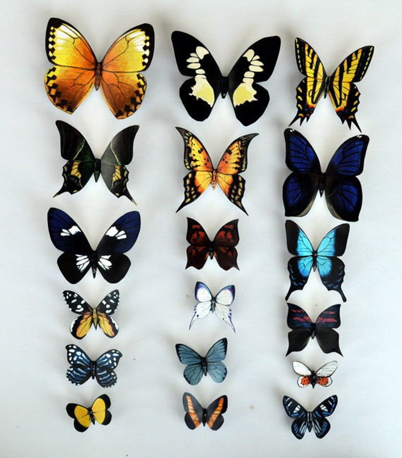 Butterfly Fridge Colorful Insects Etsy