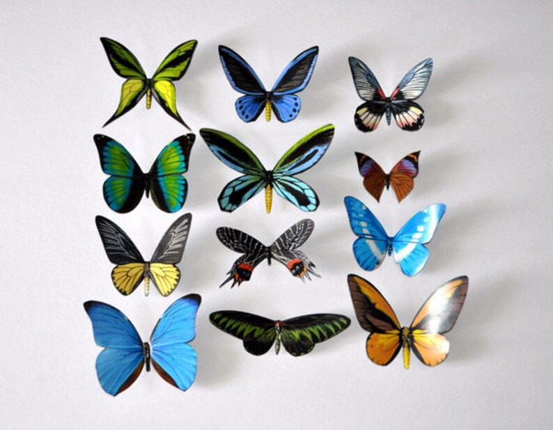 Butterfly Refrigerator Insects Set of 12 Etsy