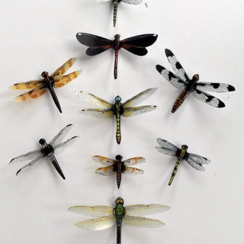 Dragonfly Magnets Set of 9 Clearwings Multi-Color Insect Refrigerator Magnets 