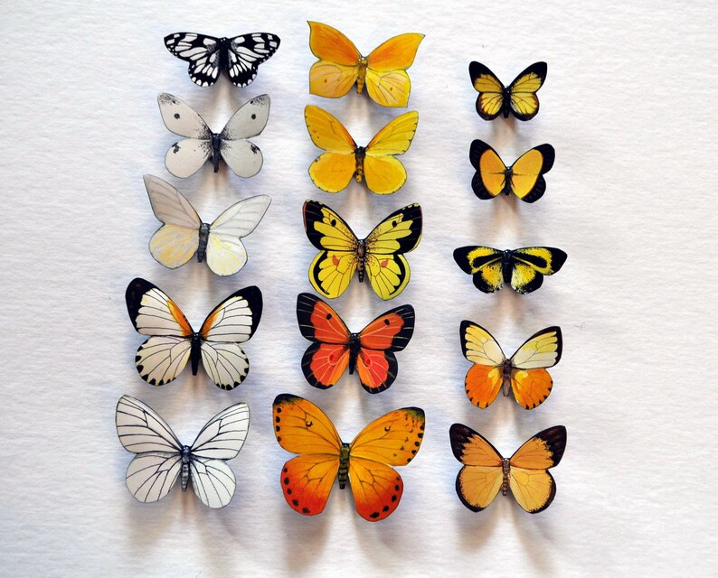 Butterfly Refrigerator Set of 15 Insects Etsy