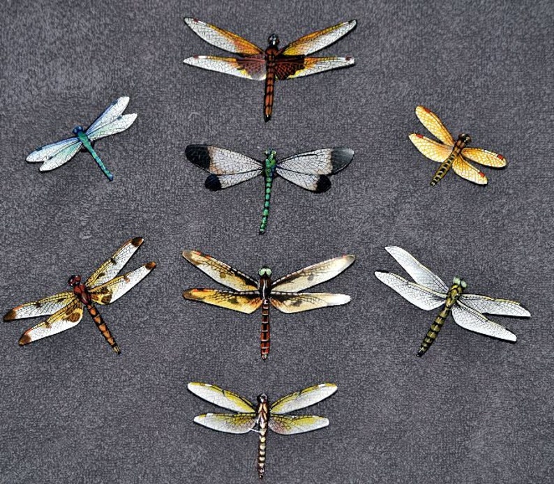 Dragonfly Insects Set of 8 Refrigerator Etsy