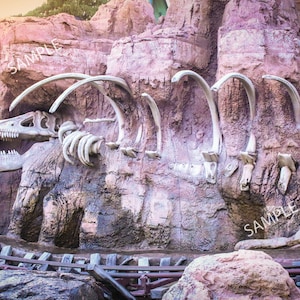 Disney-Thunder Mountain Railroad "Bones" print 11x14