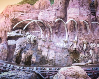 Disney-Thunder Mountain Railroad "Bones" print 11x14