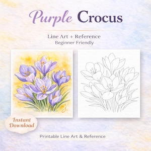 Modello di disegno a linee di croco viola ad acquerello (download digitale)