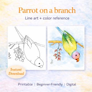 Op de afbeelding: Digitale kunstafdruk met een papegaai op een tak. De afbeelding bevat een lijntekening en een kleurenreferentie. Tekst op de afbeelding luidt "Parrot on a branch", "Line art + color reference", "Instant Download", "Printable | Beginner-Friendly | Digital".