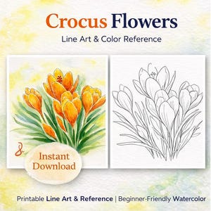 May include: A digital art print featuring two crocus flower illustrations. One is a watercolor painting of orange flowers with green leaves, and the other is a black and white line drawing. Text reads "Crocus Flowers" and "Instant Download".