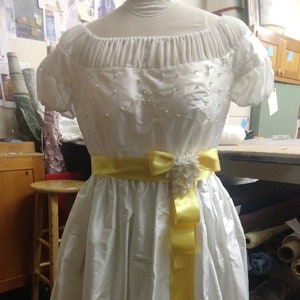 Liesl&#39;s party dress