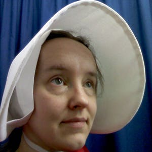 READY TO SHIP Handmaid's Tale/Offred Bonnet image 4