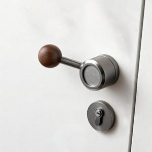 Peut inclure: Une poignée de porte moderne avec une poignée en forme de boule en bois foncé et une finition en métal brossé. L'ensemble comprend une poignée ronde et une plaque de trou de serrure, montées sur une porte blanche. Design minimaliste.