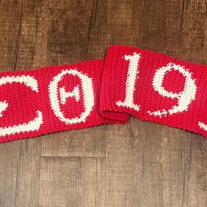 Handmade Delta Sigma Theta Crochet Scarf | Red & White | Sorority Gift | Greek Life Accessory | 70” x 7” | DST Inspired