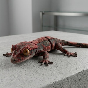 Op de afbeelding: Gedetailleerd model van een gekuifde gekko. Het reptiel heeft een roodbruin en zwart gevlekt patroon, met grote, gouden ogen. De gekko ligt op een lichtgrijze ondergrond.
