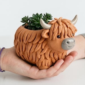 Puede incluir: Una maceta de cerámica marrón con forma de vaca de las Tierras Altas con una planta suculenta. La maceta tiene un diseño de pelaje lanudo, cuernos grises y una nariz gris. La planta suculenta tiene hojas verdes.