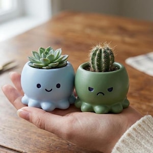 Pode incluir: Duas pequenas floreiras em forma de polvo, uma azul clara e outra verde, cada uma com uma suculenta. A floreira azul tem um rosto sorridente, enquanto a verde tem um rosto carrancudo. As floreiras são seguradas em uma mão.