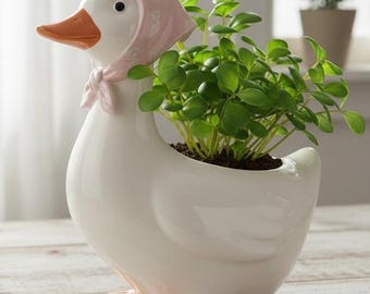 Puede incluir: Una maceta de cerámica blanca con forma de ganso, con pico y patas naranjas, que lleva un gorro rosa. La maceta está llena de plantas verdes de hojas. Una pieza decorativa encantadora.