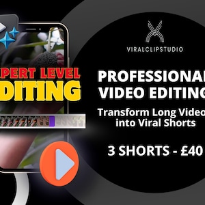 Professional Video Editing Service