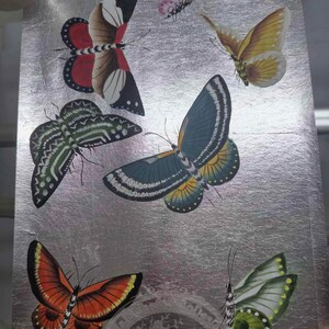 May include: A rectangular silver metallic sheet featuring six butterflies in various colors and patterns. The butterflies include red and black, yellow, dark green with white markings, blue and yellow, orange and black, and light green with white spots.