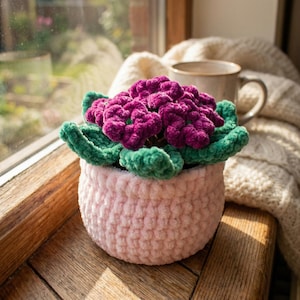Könnte beinhalten: Ein handgehäkelter Blumentopf mit einem rosa Topf, grünen Blättern und einem Cluster aus lila Blumen. Der Topf steht auf einer Holzoberfläche in der Nähe eines Fensters. Die Blumen haben eine leuchtende lila Farbe.
