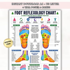 Può includere: Un grafico di riflessologia plantare con diagrammi delle piante e dei lati interni dei piedi con zone codificate a colori. Il poster include etichette di testo per organi e sistemi, benefici della riflessologia e istruzioni, con un badge digitale.